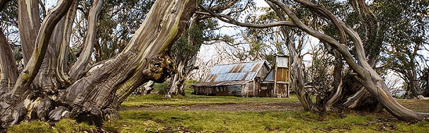High Country Scenic Tours - Accommodation ACT 0