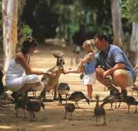 Billabong Sanctuary - Accommodation ACT