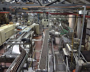 Cascade Brewery Tour - Accommodation ACT 2