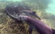 Rockingham Wild Encounters - thumb 3
