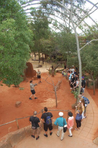 WILD LIFE Sydney Zoo - Accommodation ACT 2