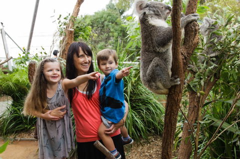 WILD LIFE Sydney Zoo - Accommodation ACT 3