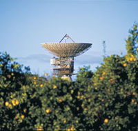 Big Dish - Accommodation ACT