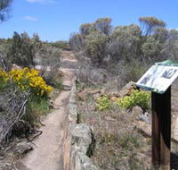Christmas Rock Walk - Accommodation ACT