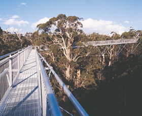 Walpole-Nornalup National Park - Accommodation ACT 0