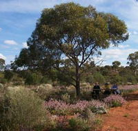 Karlkurla Bushland Park - Accommodation ACT