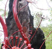 Understory Art In Nature - Accommodation ACT