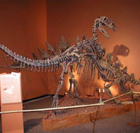Denmark Dinosaur World - Accommodation ACT