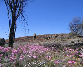 Nungarin WA Accommodation ACT