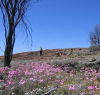 Talgomine Reserve - Accommodation ACT