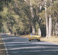Ludlow Tuart Forest - Accommodation ACT