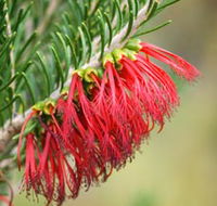 Ethel Daw Scenic Drive - Accommodation ACT
