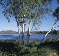 Celebrity Tree Park - Accommodation ACT