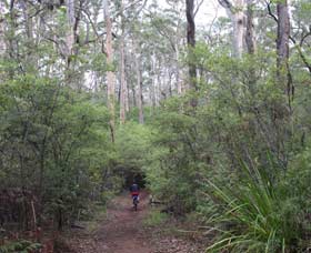 Margaret River Rails Trail - Accommodation ACT 0