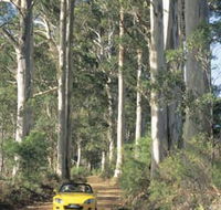 Scotsdale Tourist Drive - Accommodation ACT
