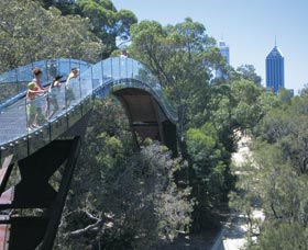 Lotterywest Federation Walkway - Accommodation ACT 0
