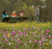 Gwambygine Park - Accommodation ACT