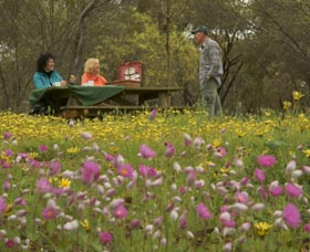 Gwambygine Park - Accommodation ACT 0