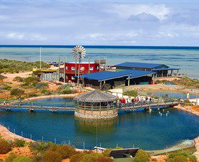 Shark Bay WA Accommodation ACT