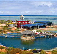 Ocean Park Aquarium - Accommodation ACT