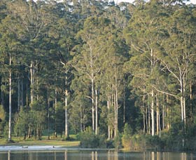 Big Brook Dam - Accommodation ACT 0