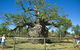 Pigeon Heritage Trail - thumb 0