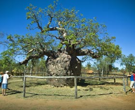 Pigeon Heritage Trail - Accommodation ACT 0
