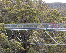 Walpole Wilderness Discovery Centre - Accommodation ACT 0