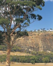 Mount Stirling - Accommodation ACT 0