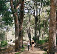Law Trail and Lotterywest Federation Walkway Kings Park - Accommodation ACT