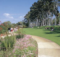 Kings Park Free Guided Walks - Accommodation ACT