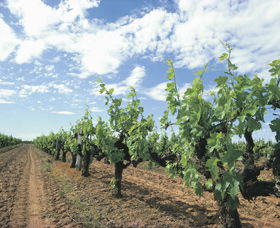 Karridale WA Accommodation ACT