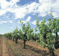 Blackwood Meadery - Accommodation ACT