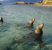 Shoalwater Islands Marine Park - Accommodation ACT
