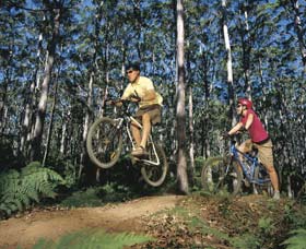 Leeuwin-Naturaliste National Park - Cowaramup - Accommodation ACT 0