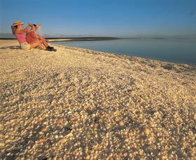 Shell Beach - Accommodation ACT 0