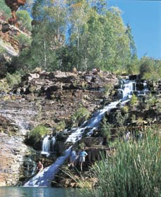 Fortescue Falls - Accommodation ACT 0