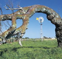Greenough Leaning Trees - Accommodation ACT