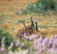 Jurabi Coastal Reserve - Accommodation ACT
