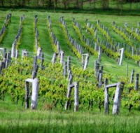 Sienna Estate Winery - Accommodation ACT