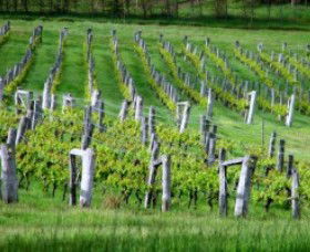 Sienna Estate Winery - Accommodation ACT 0