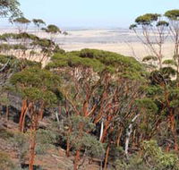 Mount Matilda Walk Trail Wongan Hills - Accommodation ACT