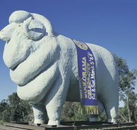 Giant Ram Tourist Park - Accommodation ACT