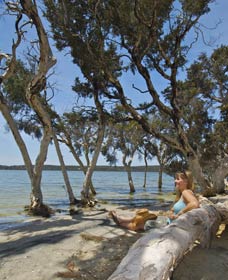 Stokes National Park - Accommodation ACT 0