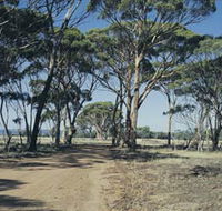 Lake Dumbleyung - Accommodation ACT