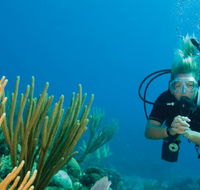 Coastal Water Dive - Accommodation ACT
