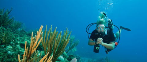 Coastal Water Dive - Accommodation ACT 0