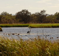 Anytime Adventures in Mandurah  the Peel Region - Accommodation ACT