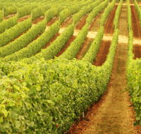 Happs Wines - Accommodation ACT