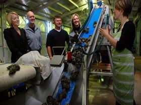 Eyre Peninsula's Seafood Trail - Accommodation ACT 0